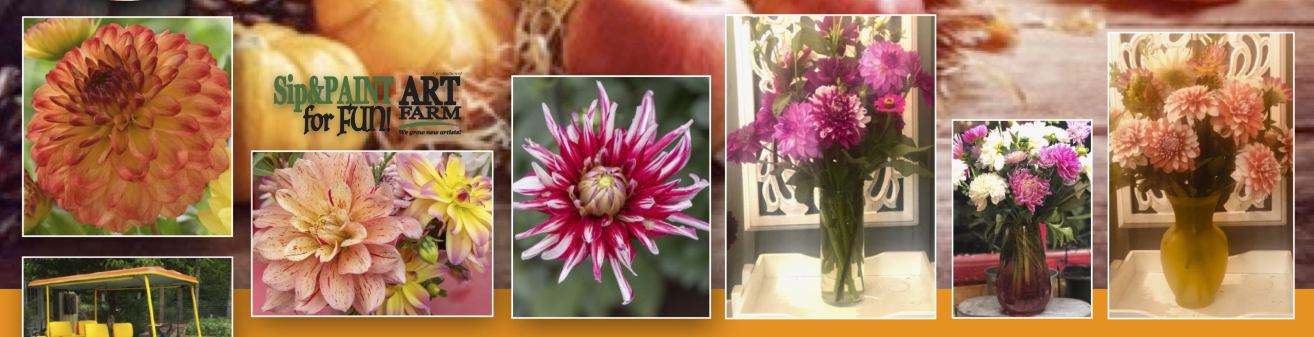 Sunshine Forecasted for Sunday's Autumn Flower Festival at ShangriLa