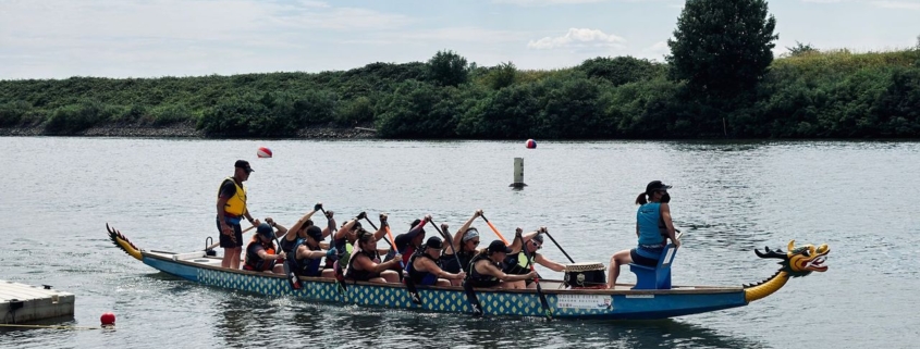 Paddle